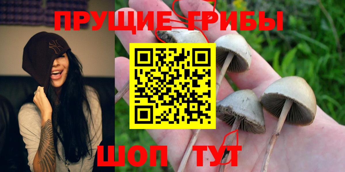 Шадринск  Галлюциногенные грибы MAGIC MUSHROOMS  Галлюциногенные грибы GOLDEN TEACHER  Вход с VPN 