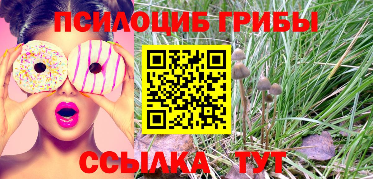 Псилоцибиновые грибы Magic Shrooms Шадринск